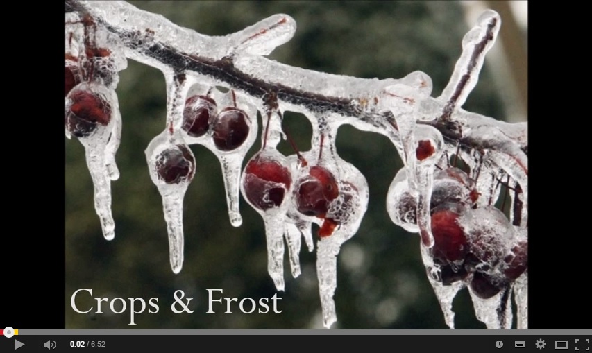 Agricultural Losses 2014 from Cold Temperatures