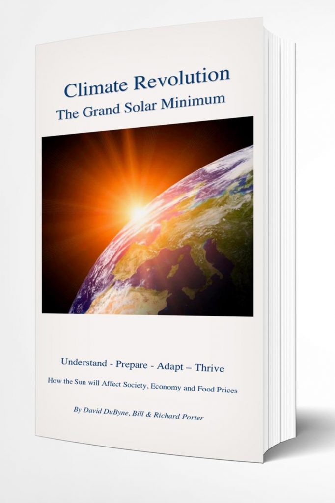 the new solar return book of prediction pdf